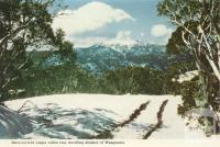 Snow-covered ranges within easy travelling distance of Wangaratta