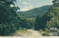 The River Yarra at Warburton
