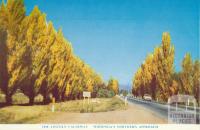The Lincoln Causeway, Wodonga's northern approach, 1965