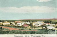 Panoramic View, Wonthaggi