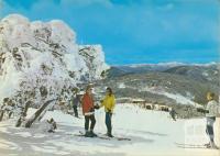 Beginner's ski slopes, Mount Buller