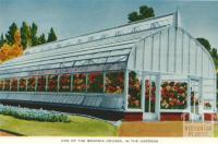 Begonia Houses, Ballarat, 1958