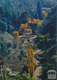 Winding street, Walhalla