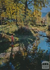 Stringer's Creek, Walhalla