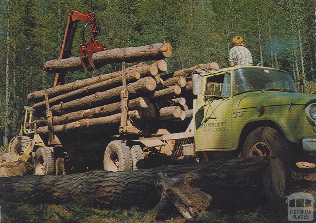 Softwood logging, Bright Softwood logging, Bright