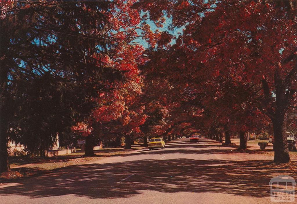 Delany Avenue, Bright Delany Avenue, Bright