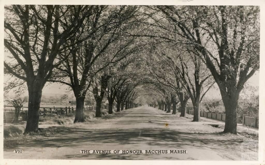 The Avenue of Honour, Bacchus Marsh