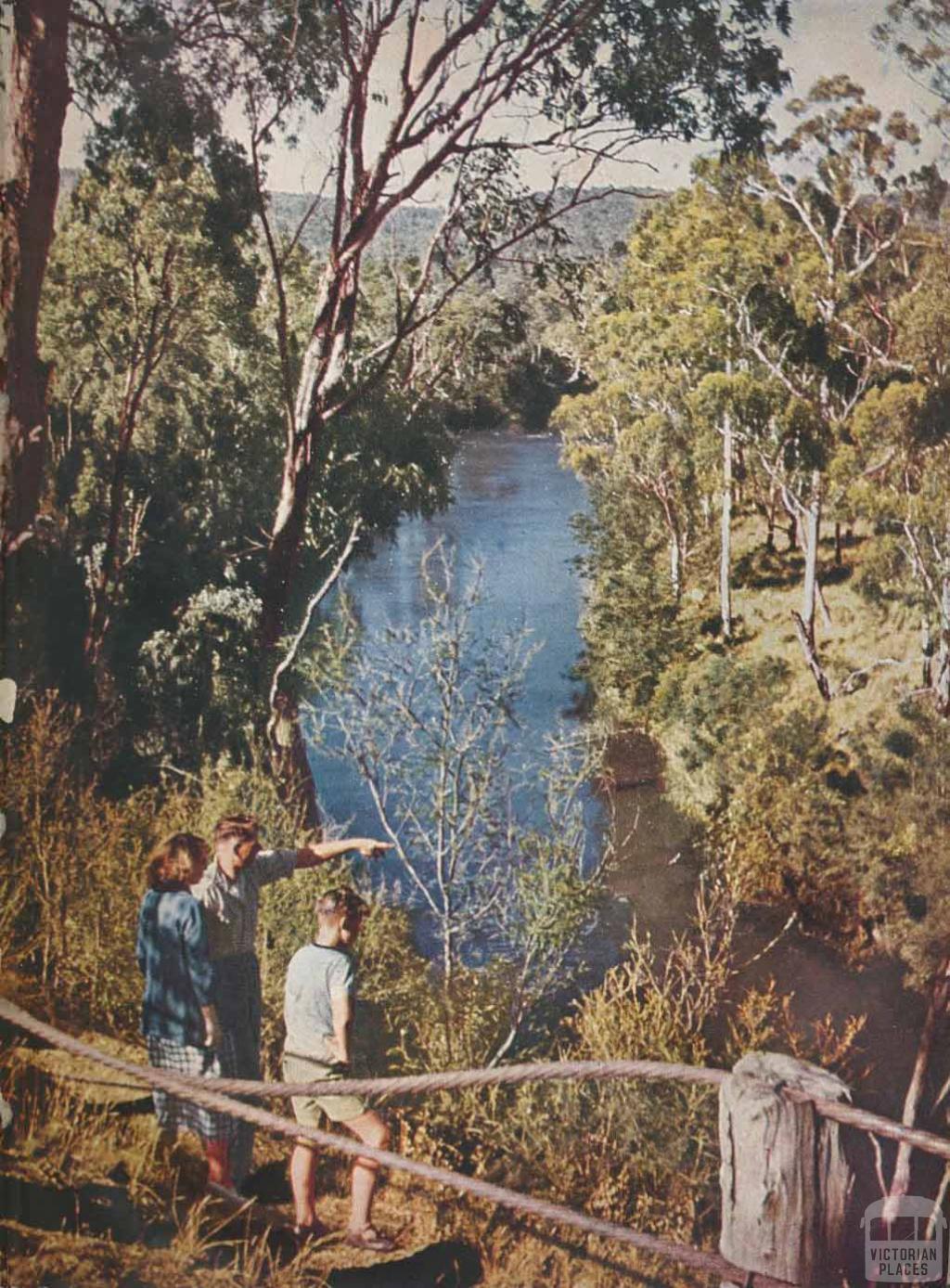 Yarra River, Warrandyte, 1954