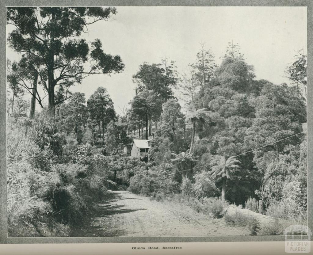 Olinda Road, Sassafras, 1918