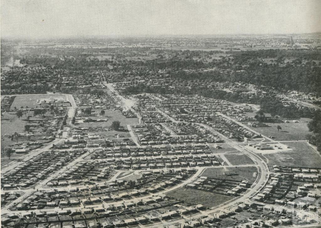 Aerial View of Housing Commission Homes, Wangaratta, 1960