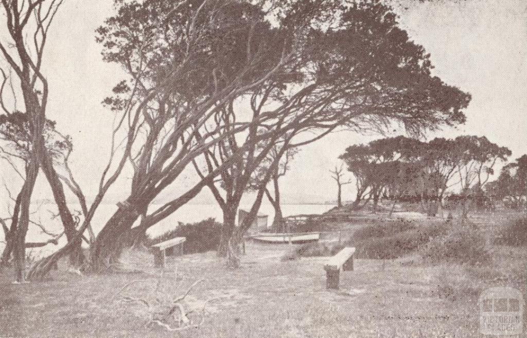Dromana, 1929