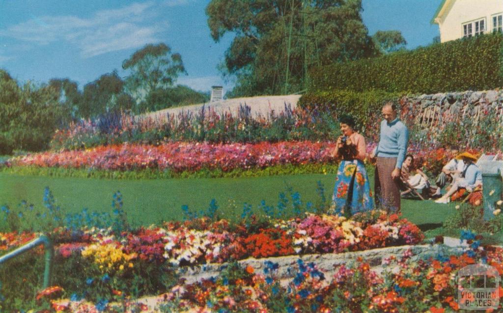 The Chalet Garden, Mount Buffalo, c1960
