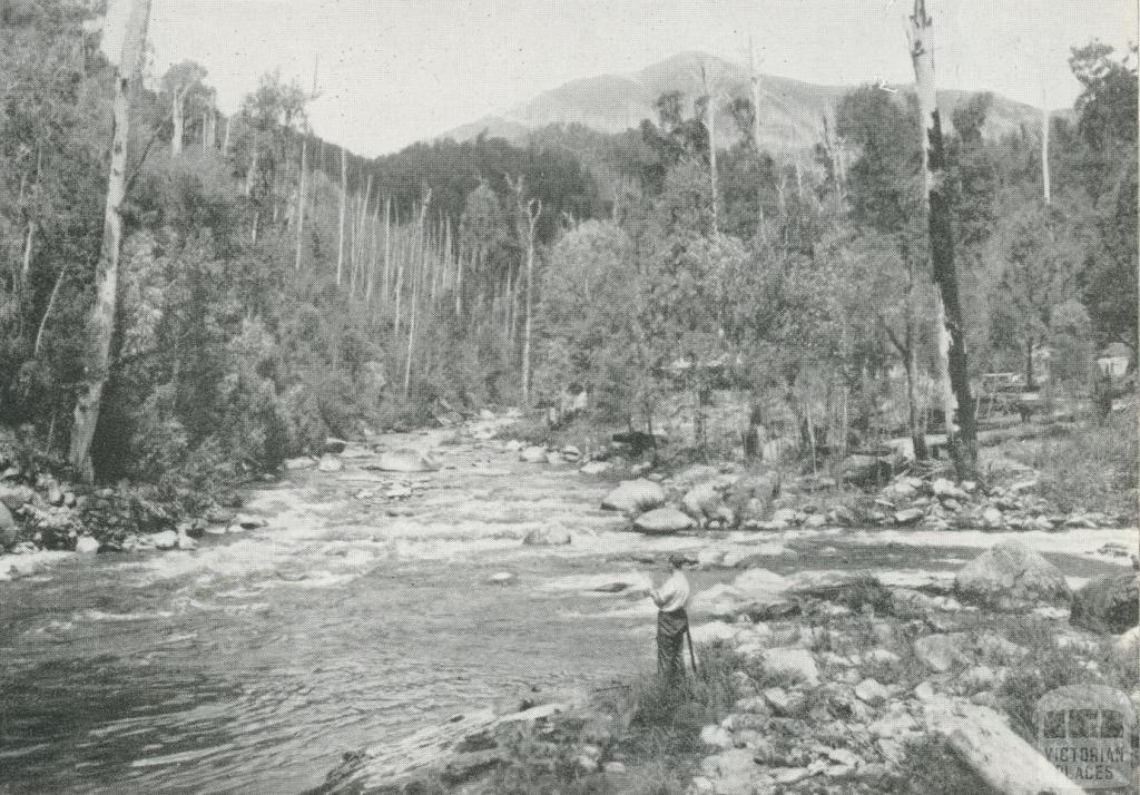 Junction of Rocky and Pretty Valley Rivers at Bogong Village, c1960