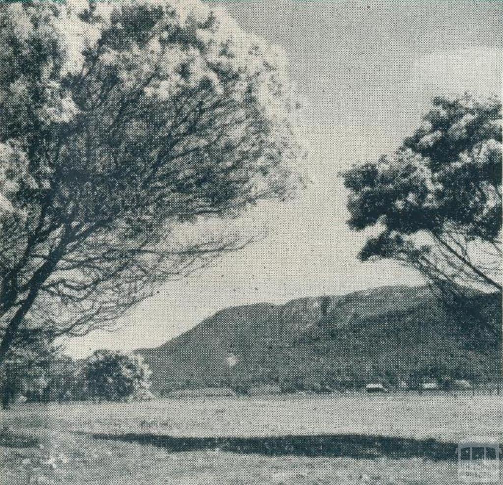 Mount Buffalo National Park, 1951