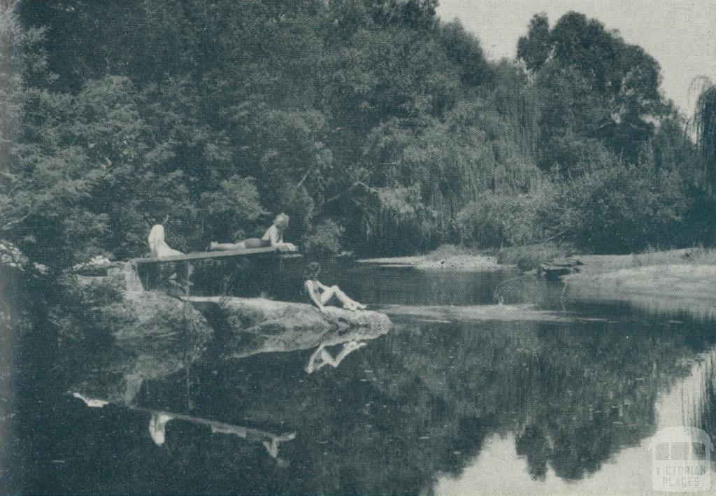 Nug Nug Creek swimming hole, Myrtleford, 1951