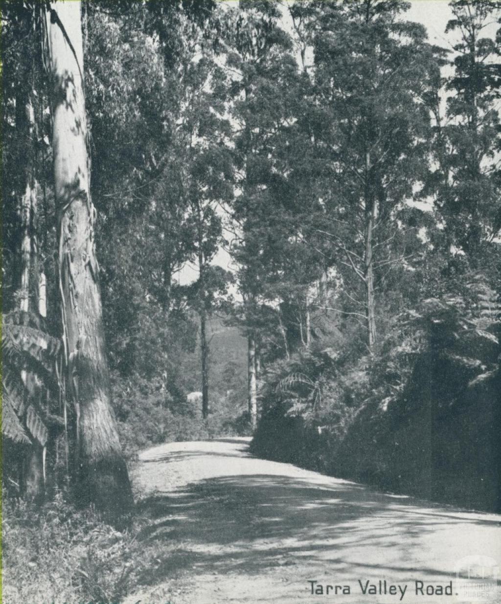 Tarra Valley Road, Yarram, 1947