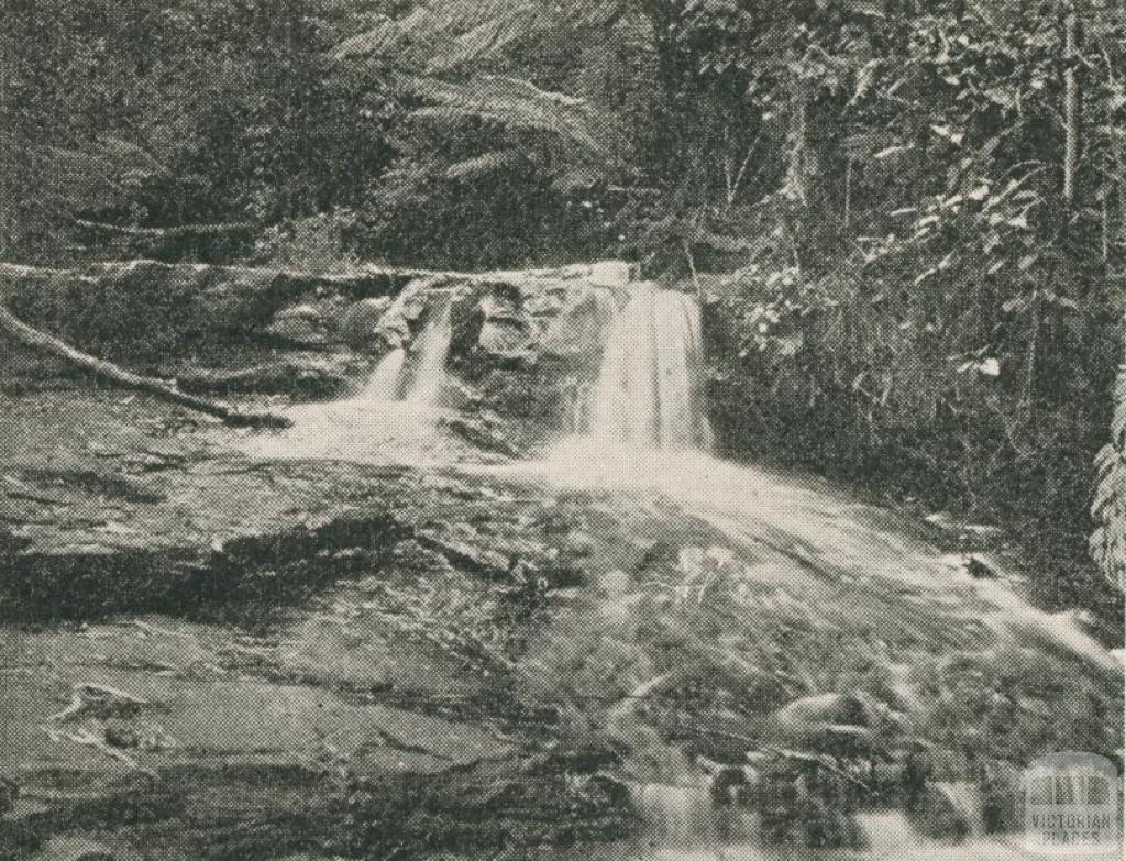 Sheoak Creek, Lorne, 1910
