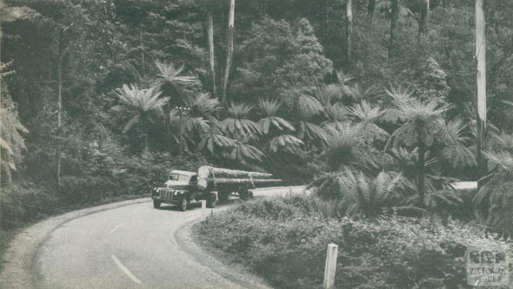 Timber Transport, Dandenongs, c1952
