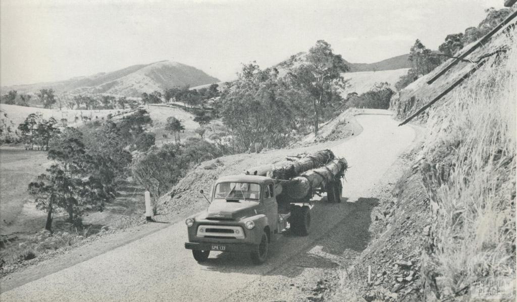 Hauling timber, Heyfield, 1958