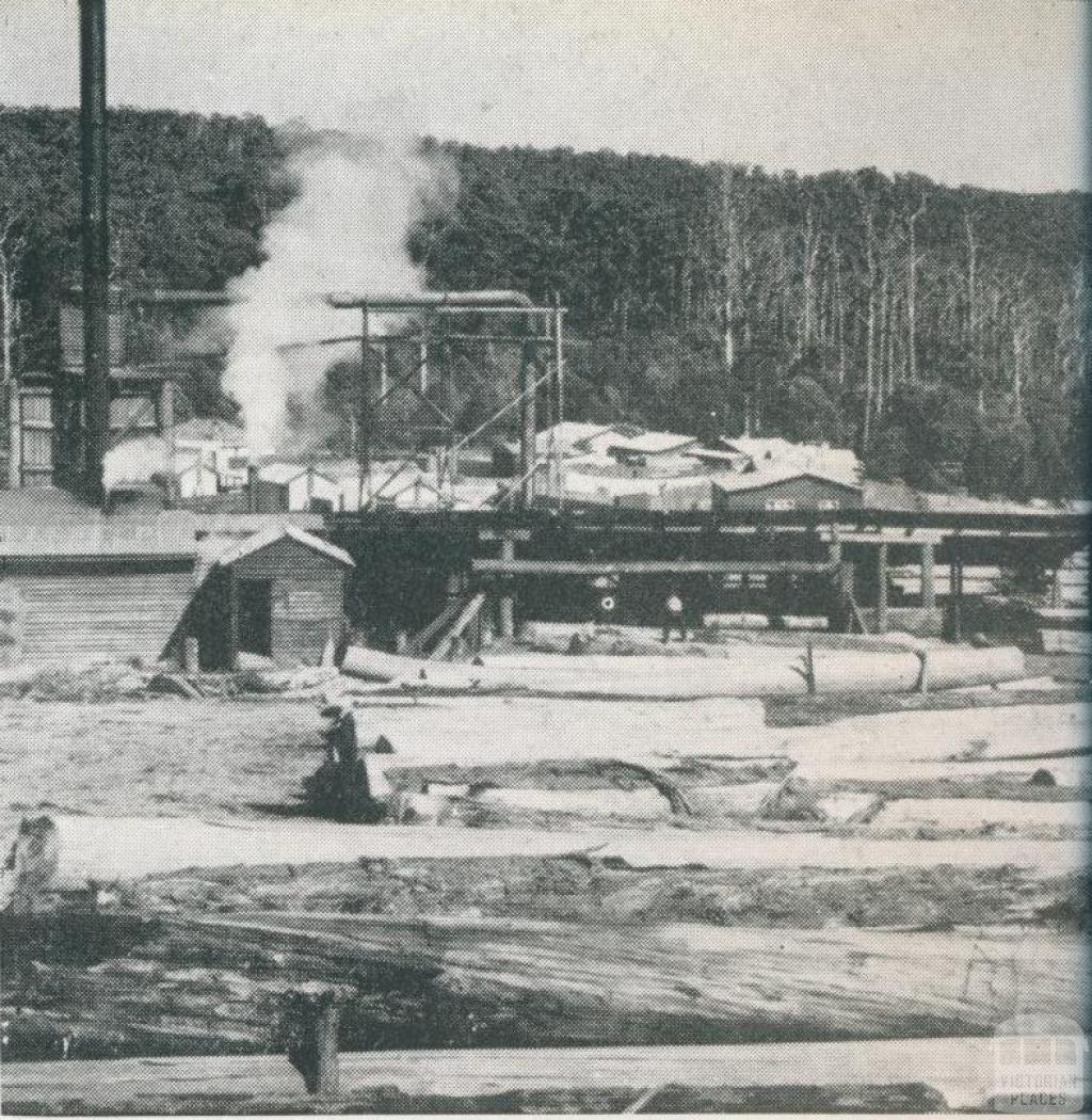Saw mill by the forest, Cabbage Tree Creek, 1955