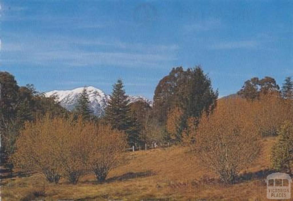Snow-capped Mount Buller as viewed from the Mansfield Road