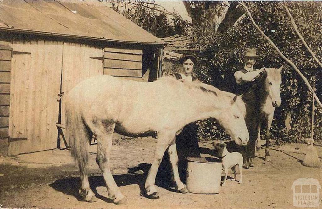 Back yard and buggy shed, farmyard, Sale, 1908