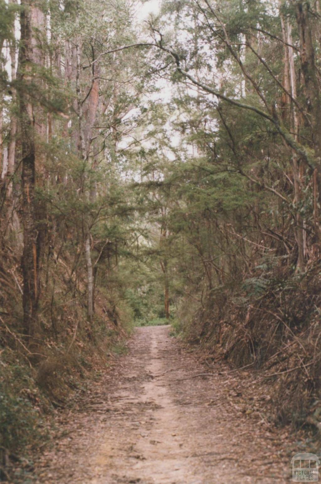 Walhalla railway track, 2010