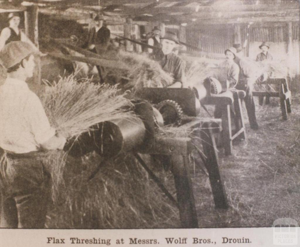 Flax threshing at Wolff Brothers, Drouin, 1919