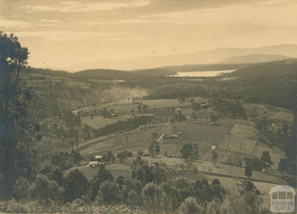 The Patch, Kallista, 1937