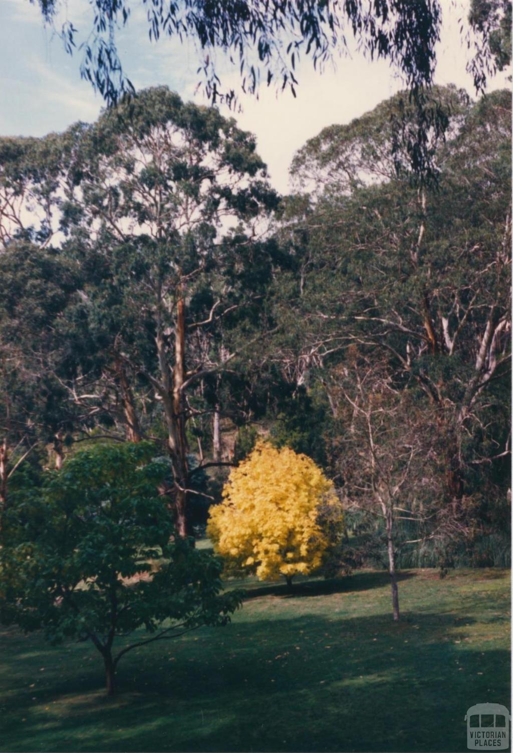 Kirks Reservoir, Ballarat, 1980