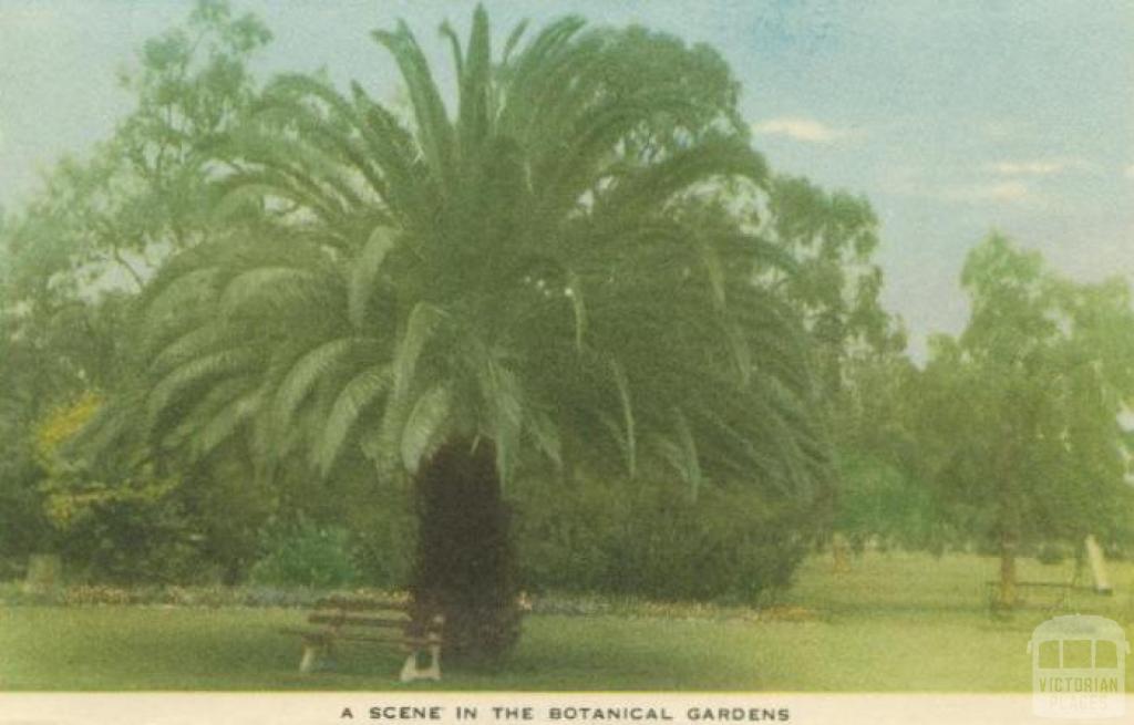 A scene in the Botanical Gardens, Horsham, 1951