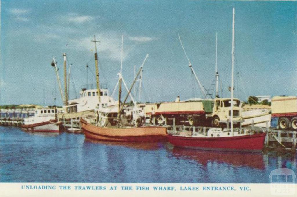Unloading the trawlers at the Fish Wharf, Lakes Entrance, 1965