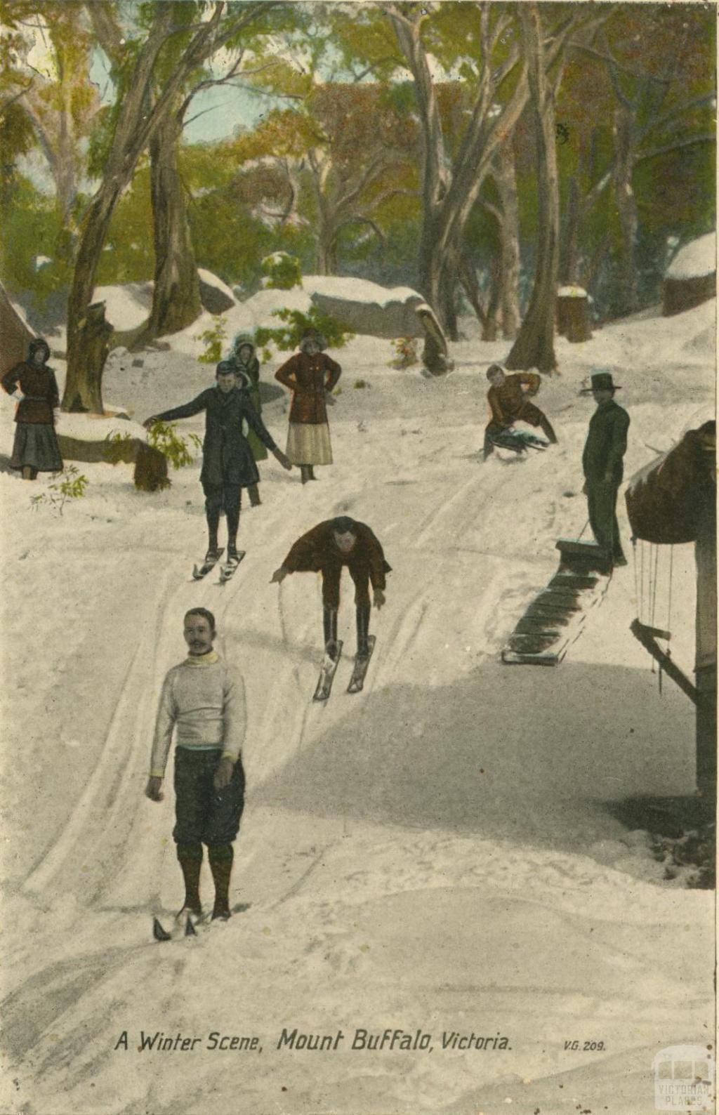 A Winter scene, Mount Buffalo