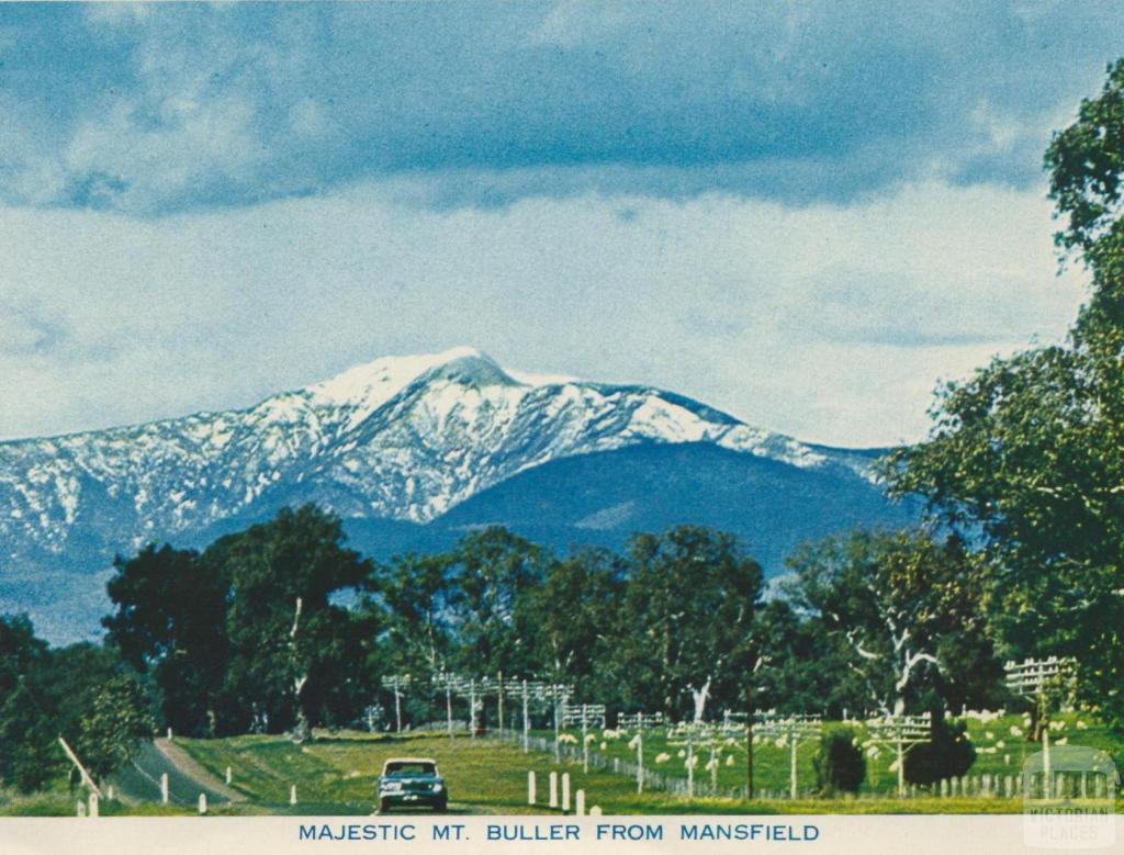 Majestic Mount Buller from Mansfield, 1974