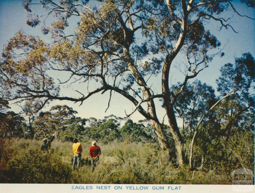 Eagles Nest on Yellow Gum Flat, Wimmera