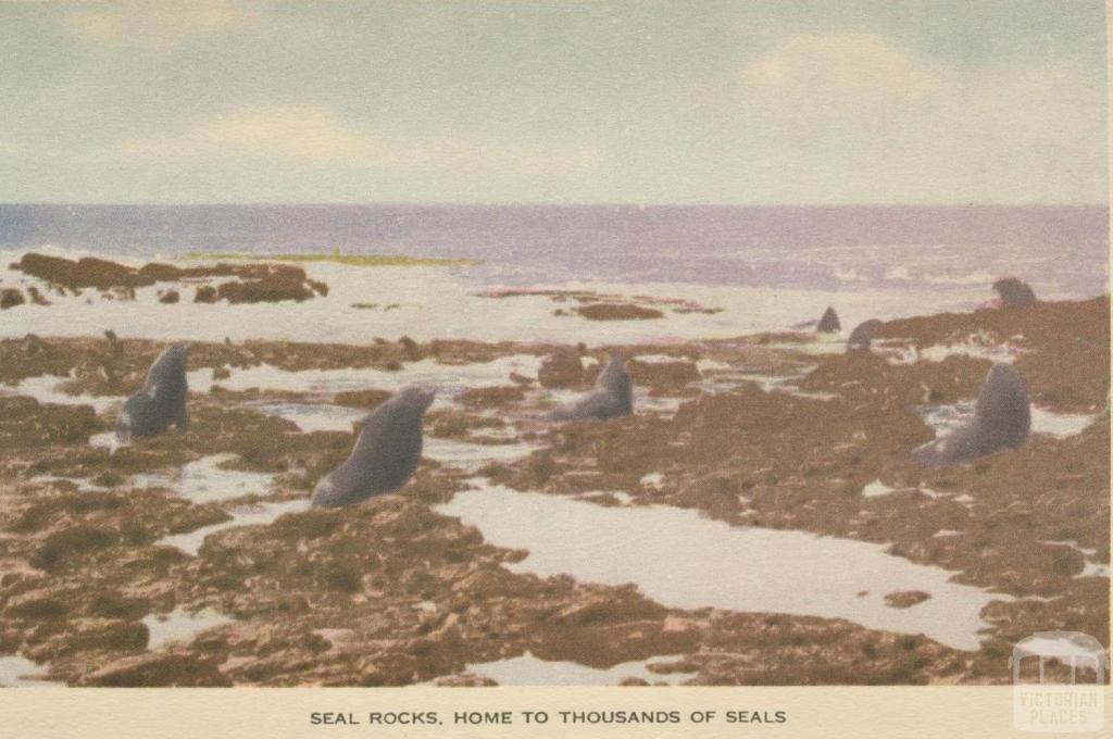 Seal Rocks, Phillip Island